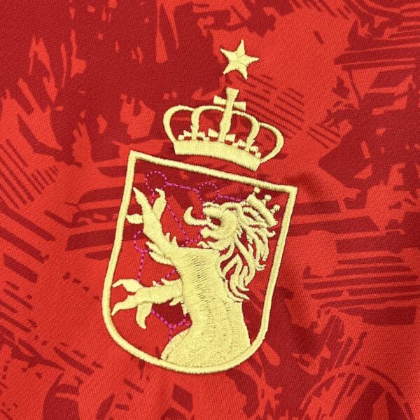 Men's Spain 2024/25 Red special edition Jersey - Image 9