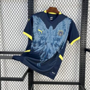 Men's Fenerbahce 2024/25 Third Jersey
