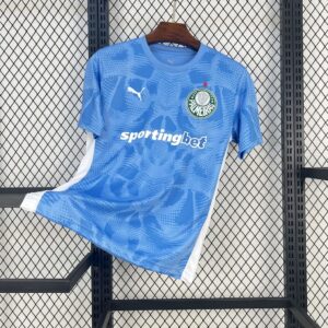 Men's Palmeiras 2025/26 Goalkeeper Jersey