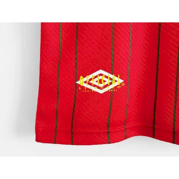 Retro Wales 1994/96 Home Jersey - Image 5