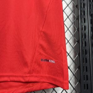 Retro Spain 2010 Home Jersey - Image 4