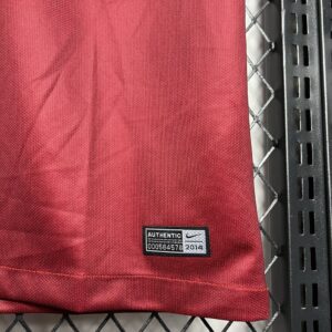 Retro Portugal 2014 Home Jersey - Image 4