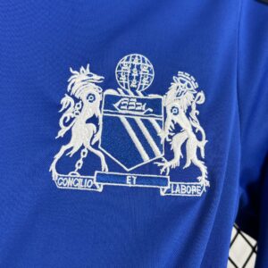 Retro Manchester United 2024/25 Joint Edition Blue Long Sleeves Jersey - Image 7