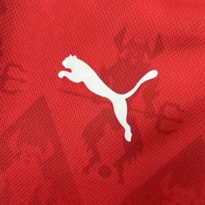 Mens Club Atlético Independiente 2025/26 Home Jersey - Image 13