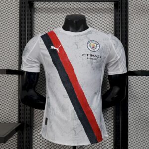 Mens Manchester City 2025/26 Away Jersey Player Version