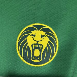 Mens Cameroon 2025/26  Home Jersey - Image 5