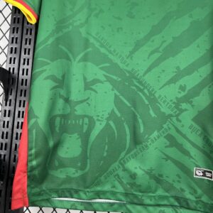 Mens Cameroon 2025/26  Home Jersey - Image 3