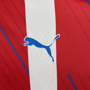 Mens Paraguay 2024/25 Home Jersey - Image 8