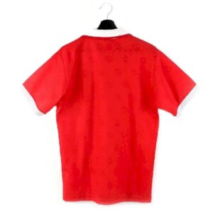 Retro Switzerland 1994-1996 Home Jersey - Image 2
