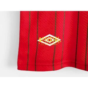 Retro Wales 1994/96 Home Jersey - Image 5